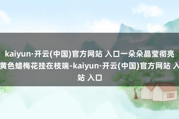 kaiyun·开云(中国)官方网站 入口一朵朵晶莹彻亮的黄色蜡梅花挂在枝端-kaiyun·开云(中国)官方网站 入口