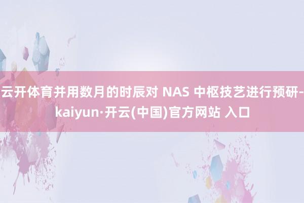 云开体育并用数月的时辰对 NAS 中枢技艺进行预研-kaiyun·开云(中国)官方网站 入口