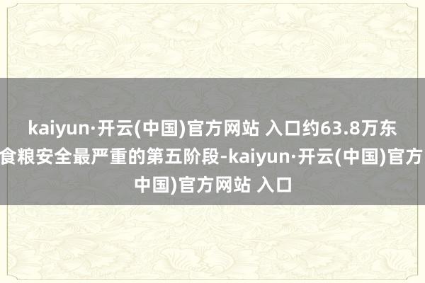 kaiyun·开云(中国)官方网站 入口约63.8万东谈主处于食粮安全最严重的第五阶段-kaiyun·开云(中国)官方网站 入口